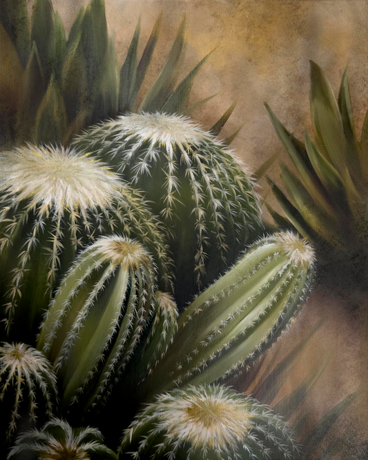 ' CACTUS II' Original Oil Painting