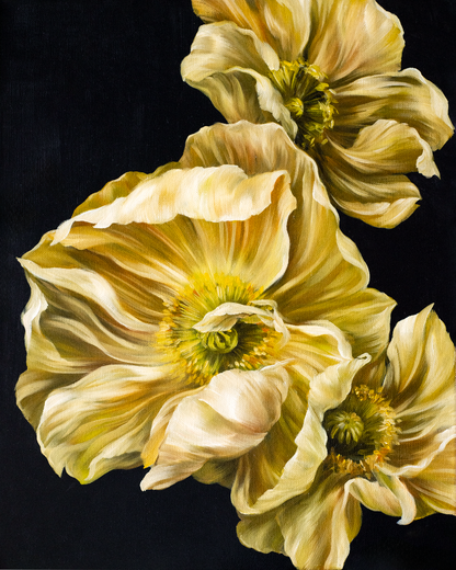 'Moonlight Poppies' Print