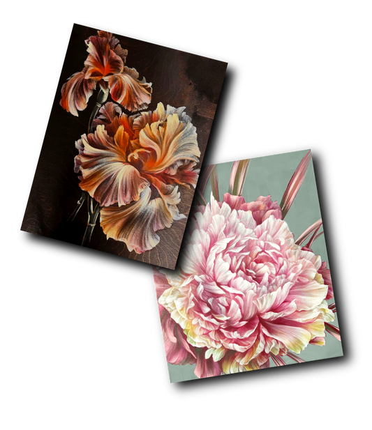 'Apricot Iris' & 'Marshmallow Peony' Video Tutorial Bundle