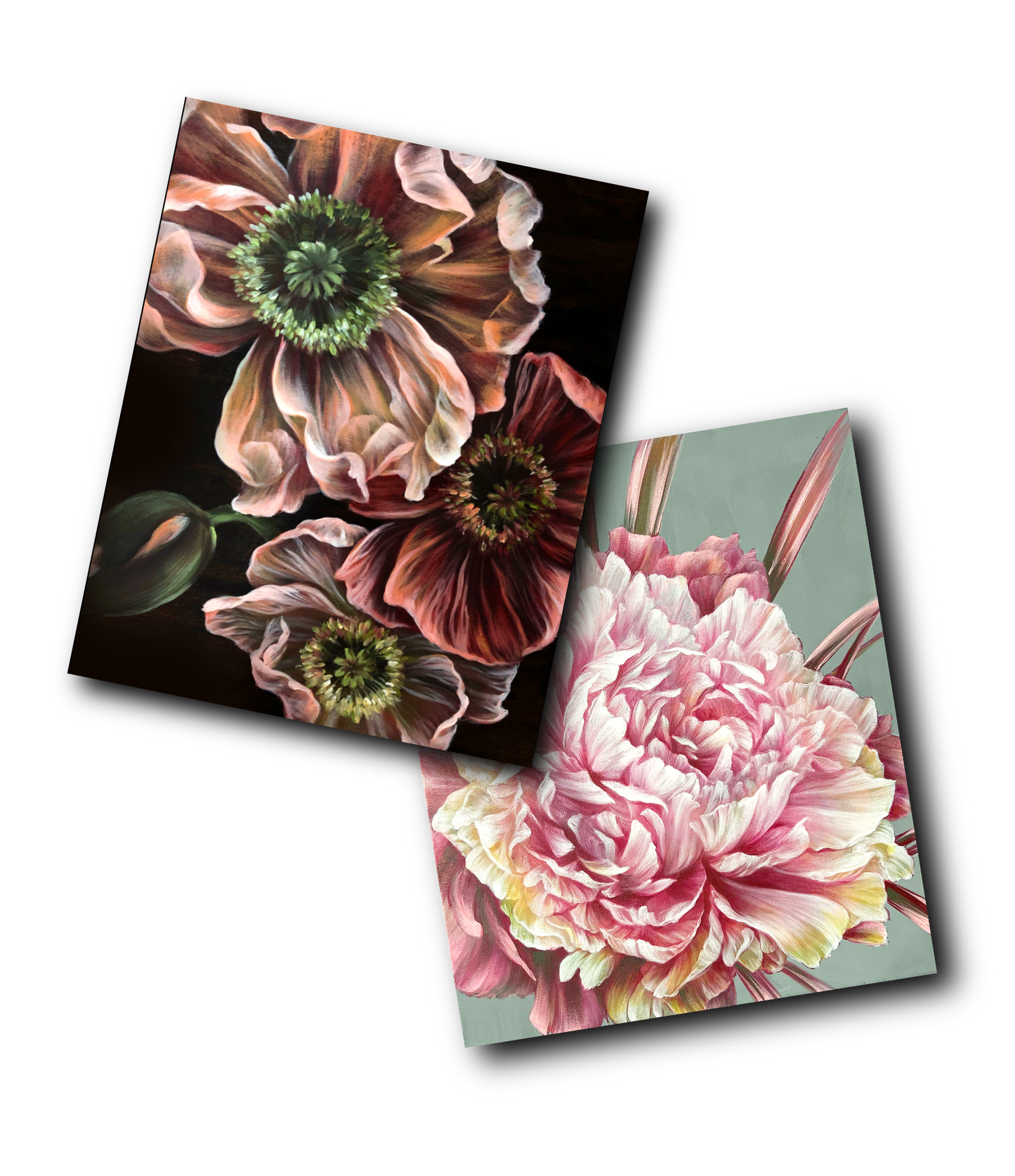 'Poppies' & 'Marshmallow Peony' Video Tutorial Bundle