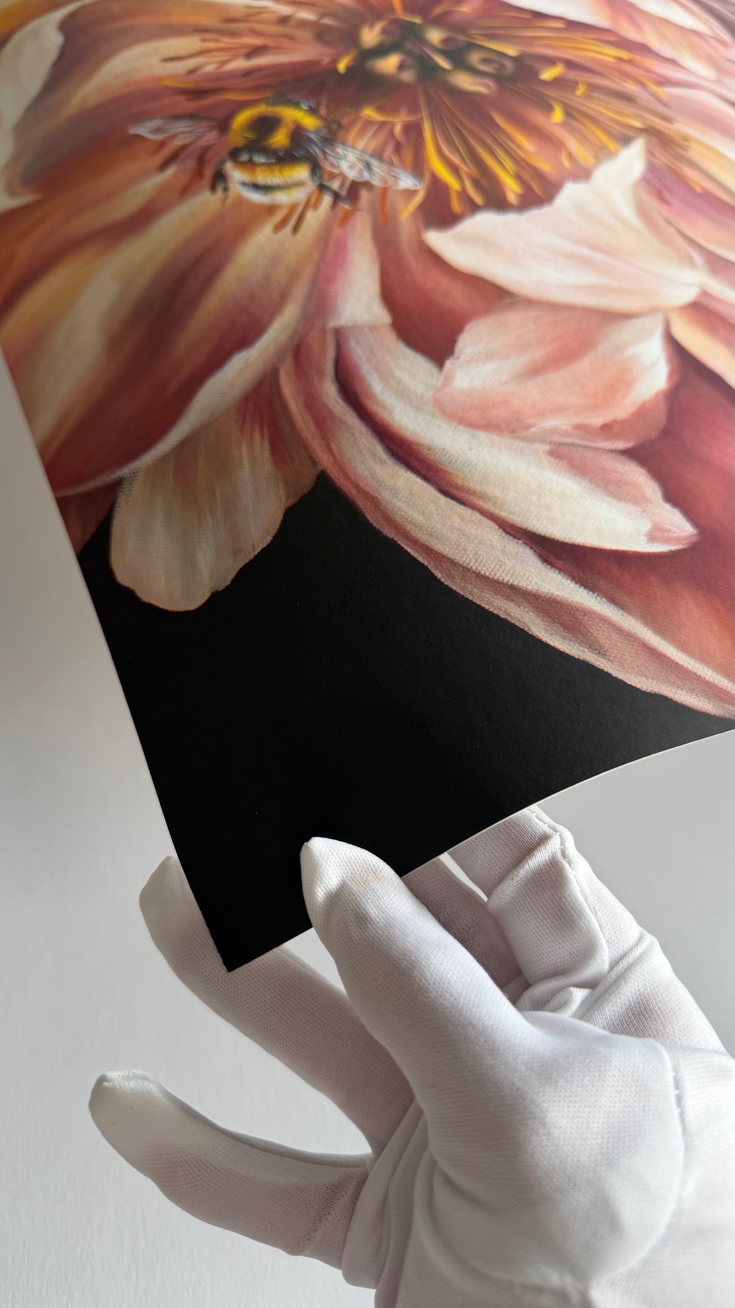 'Charlotte Wants' Print