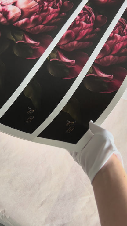 'CAN-CAN IN BLOSSOM' Print