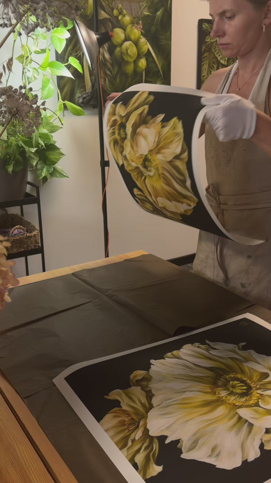 'Moonlight Poppies' Print
